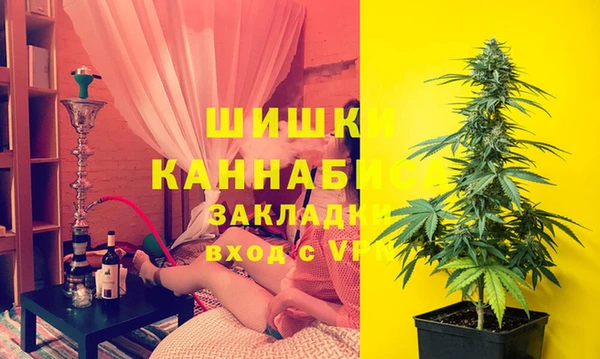 ПСИЛОЦИБИНОВЫЕ ГРИБЫ Осинники