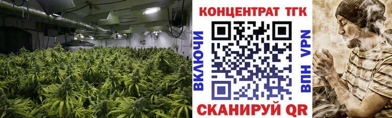 ТГК Wax Вихоревка